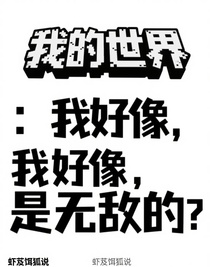 我的世界：我好像，是无敌的？